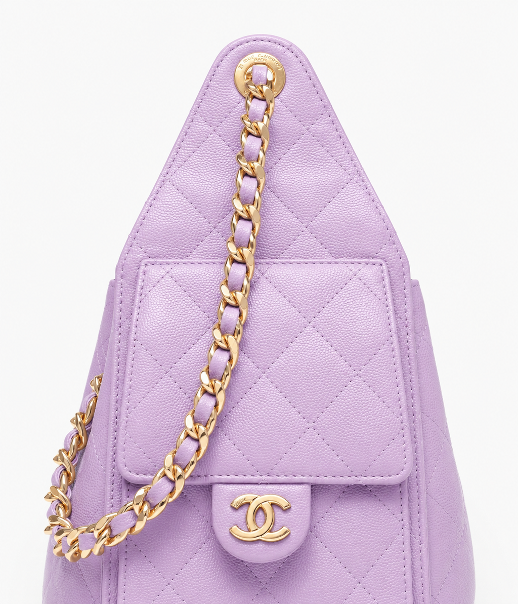 Chanel Mini 25 Hobo Bag