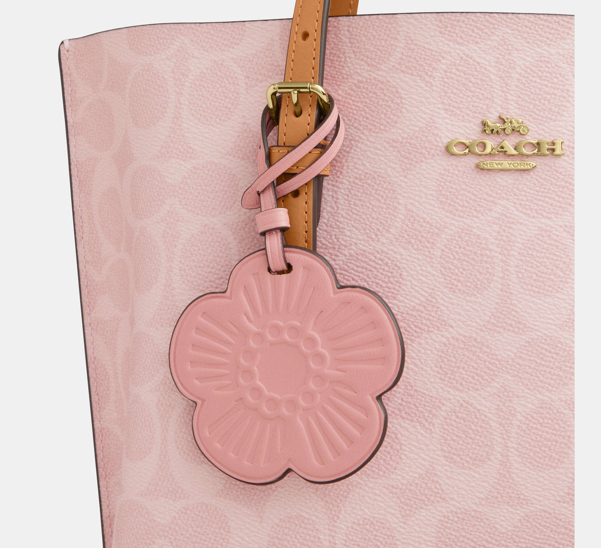 Mollie Tote Bag 25 In Signature Canvas With Charms