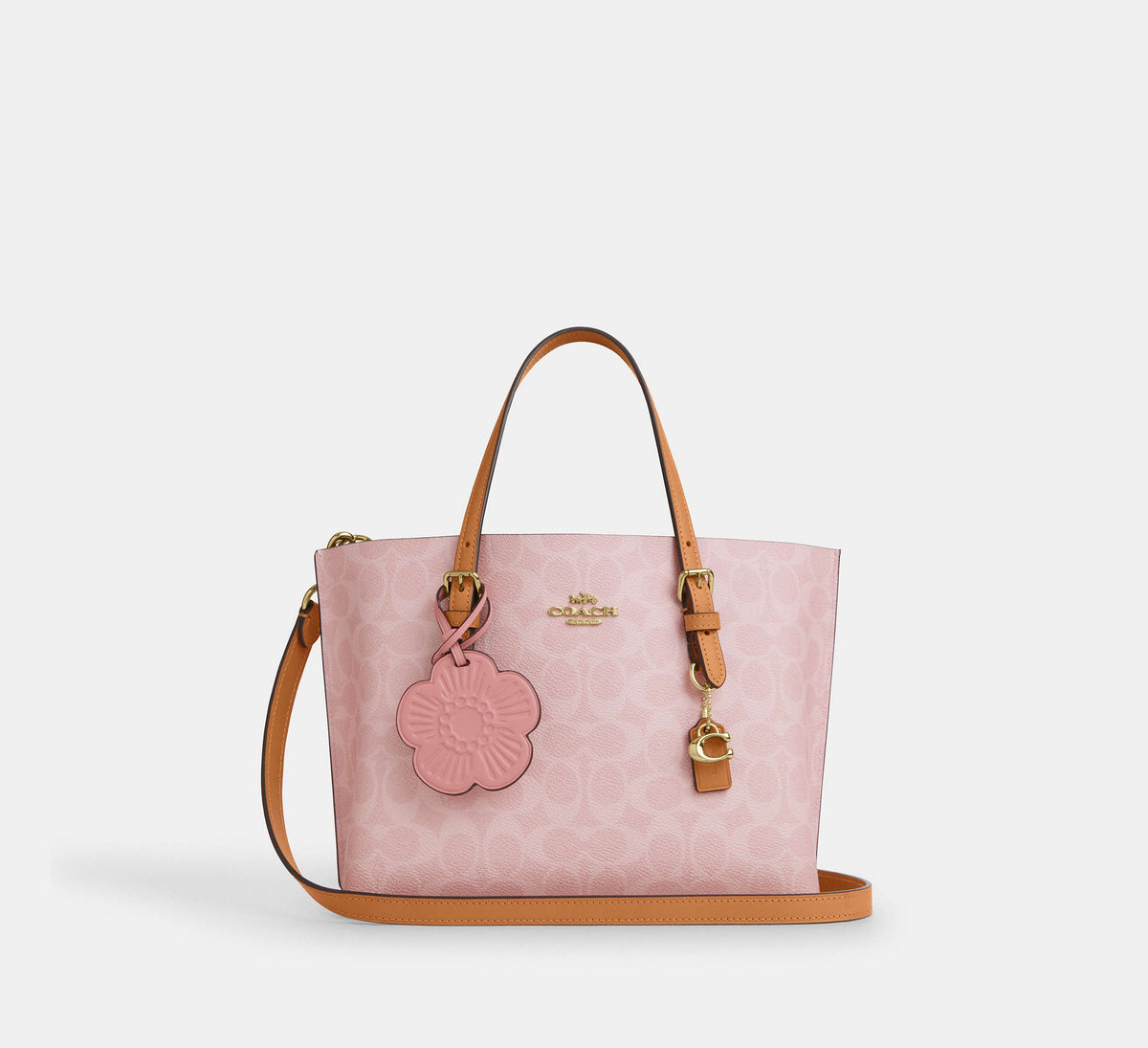 Mollie Tote Bag 25 In Signature Canvas With Charms