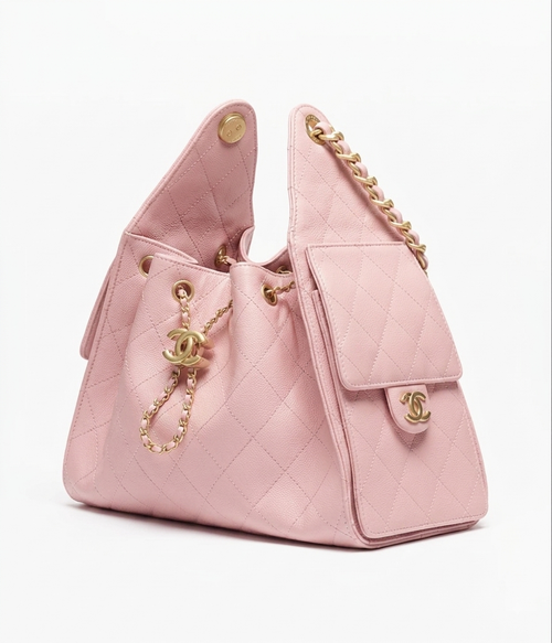 Chanel Medium 25 Hobo Bag