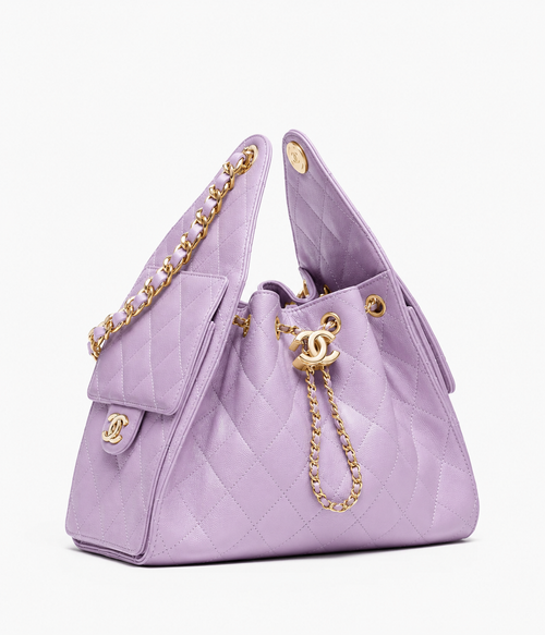 Chanel Mini 25 Hobo Bag