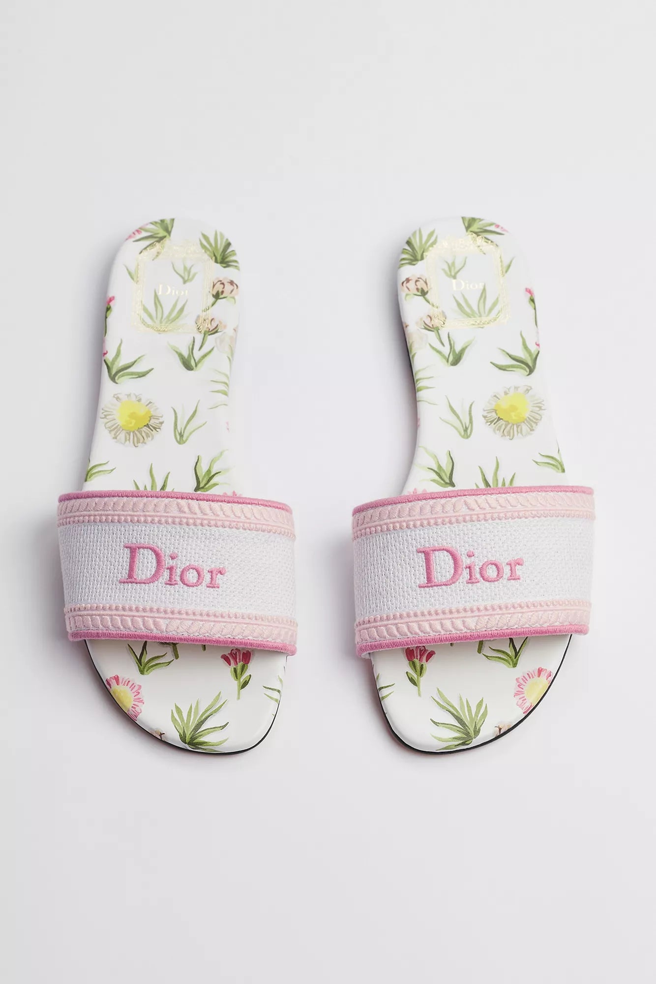 DWAY SLIDES