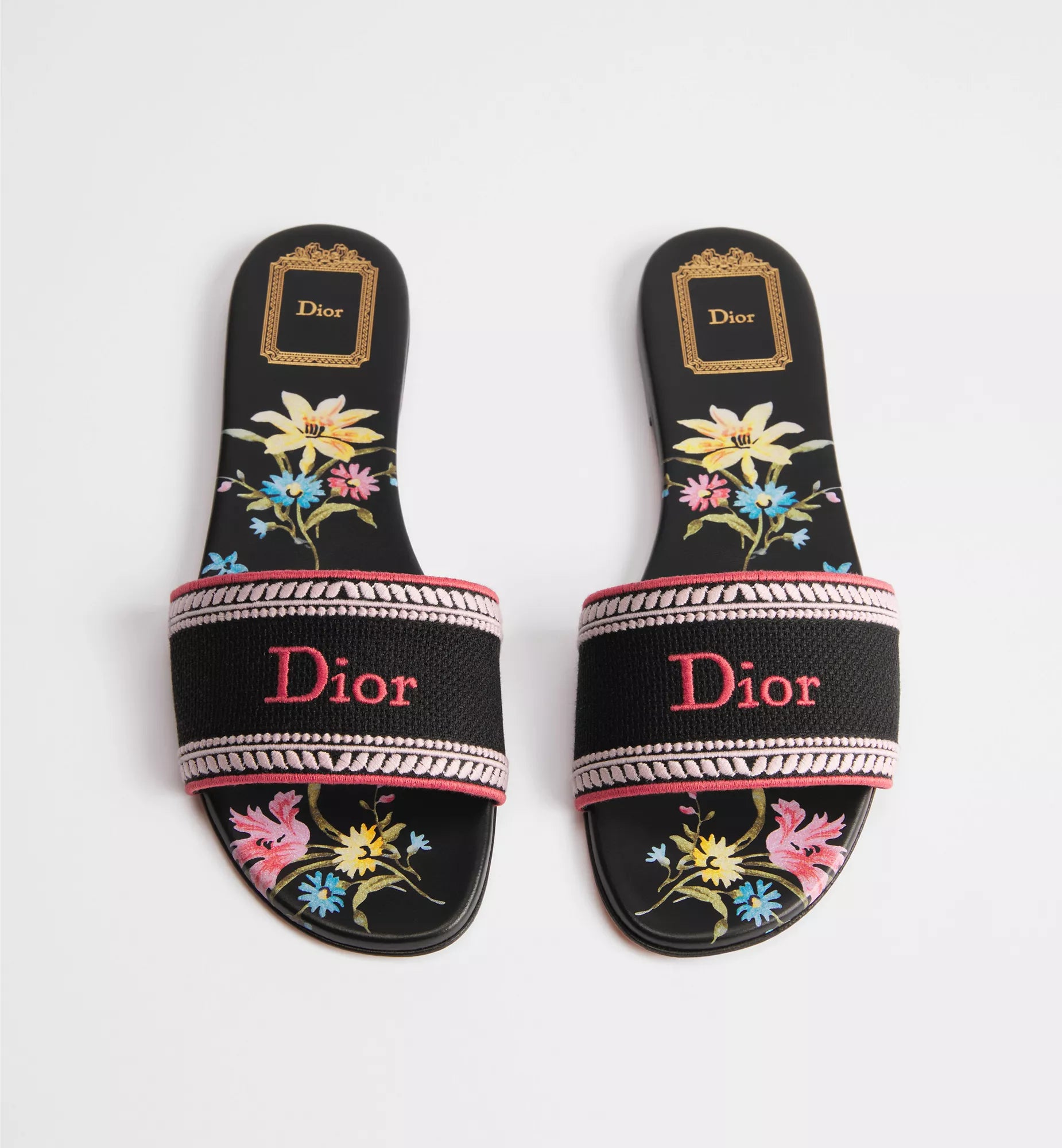 DWAY SLIDES