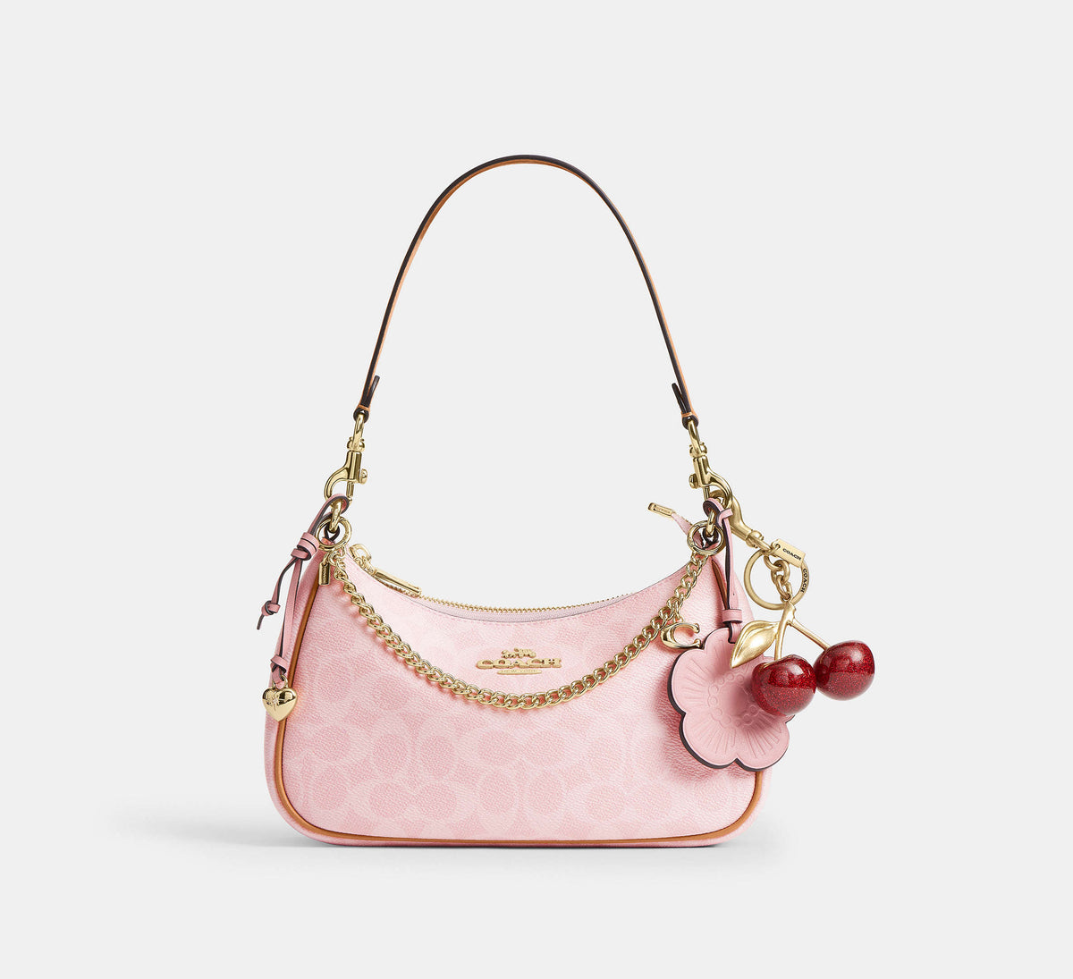 Teri bag in signature canvas with charms