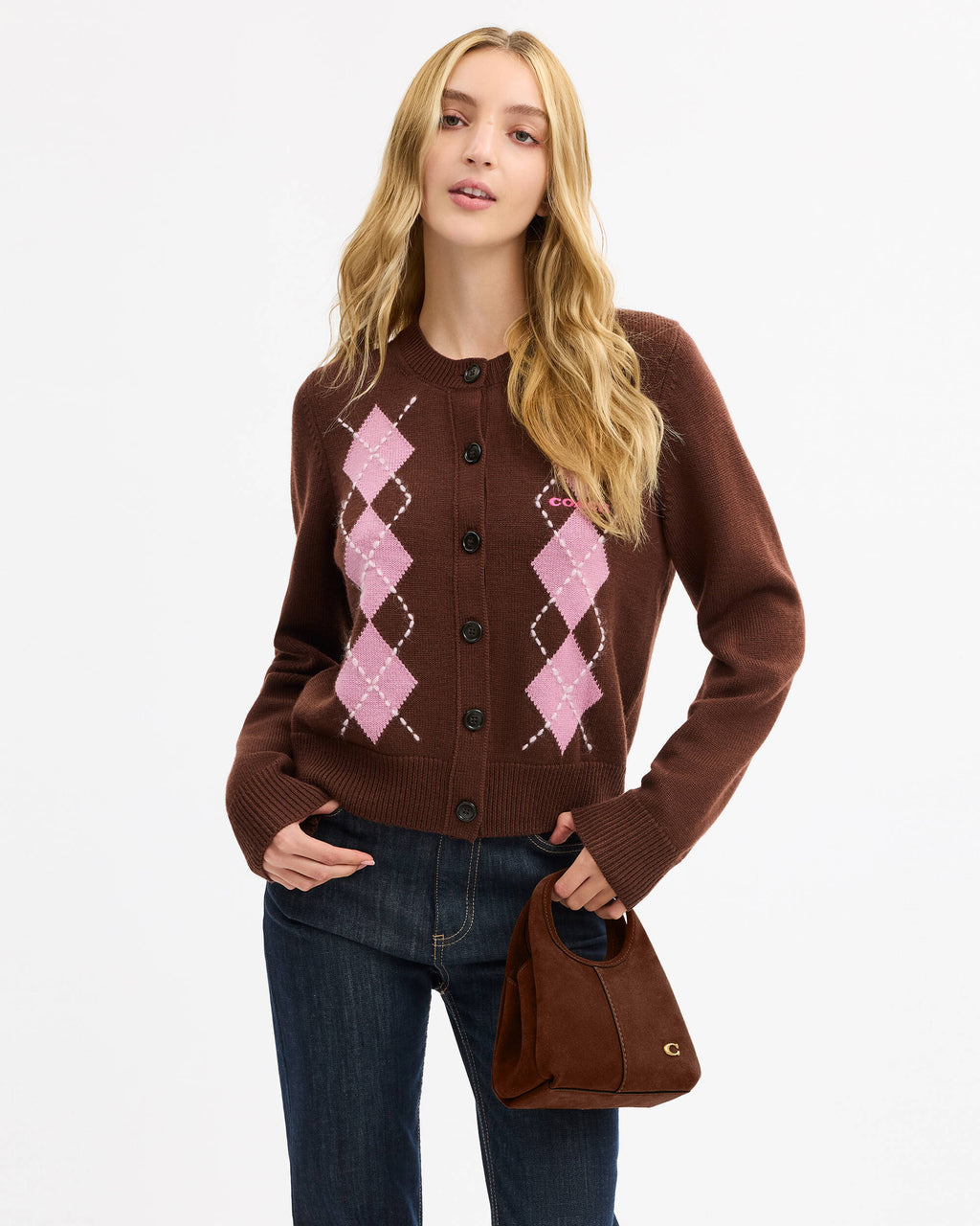 Suede Lana Shoulder Bag 19