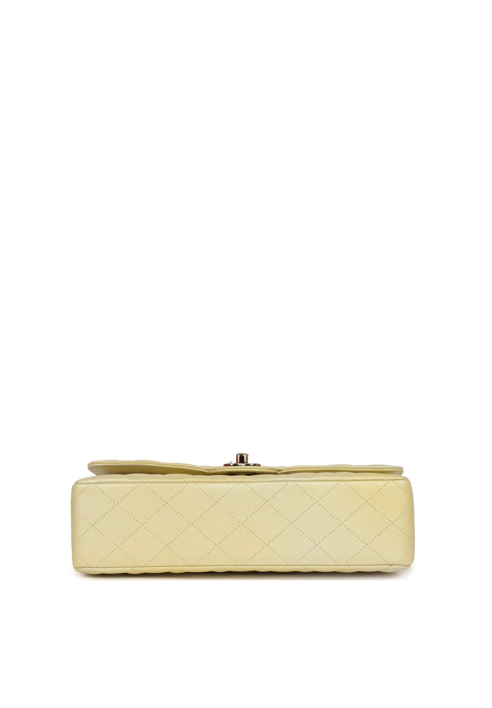Chanel Medium Classic Double Flap