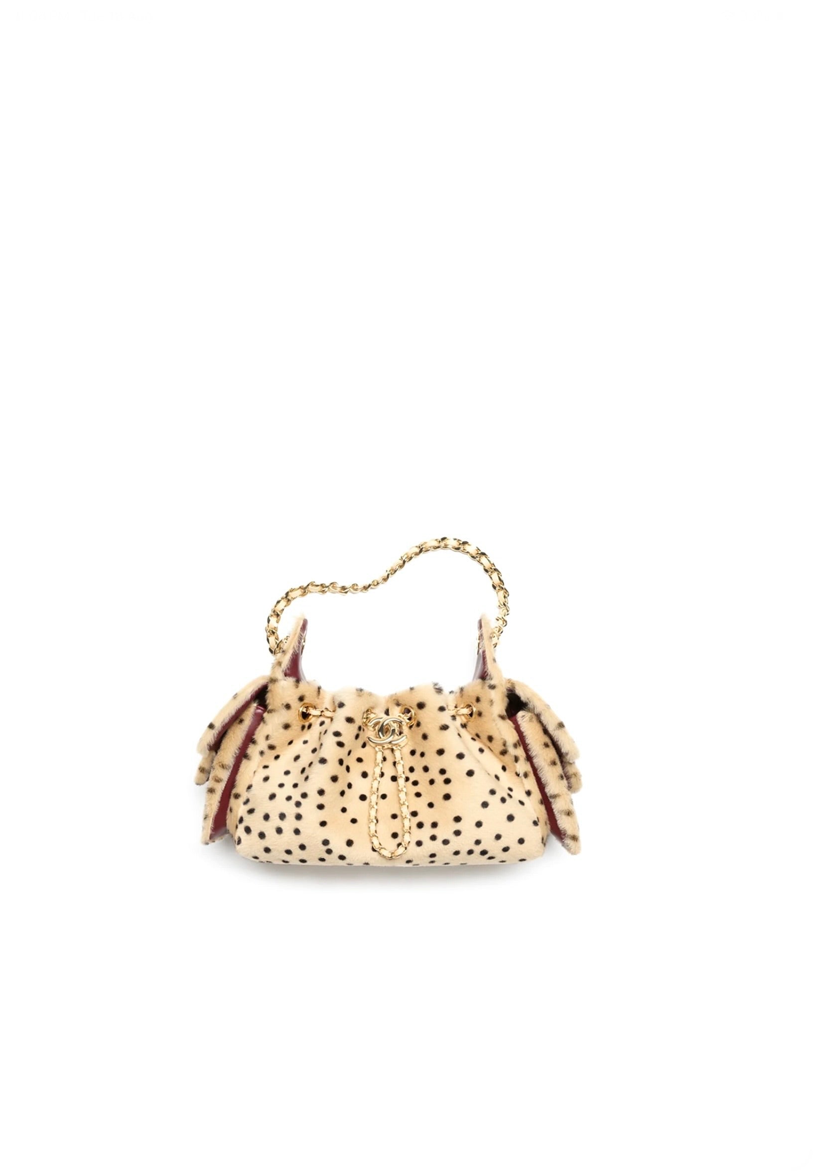 Chanel Mini 25 Hobo Bag