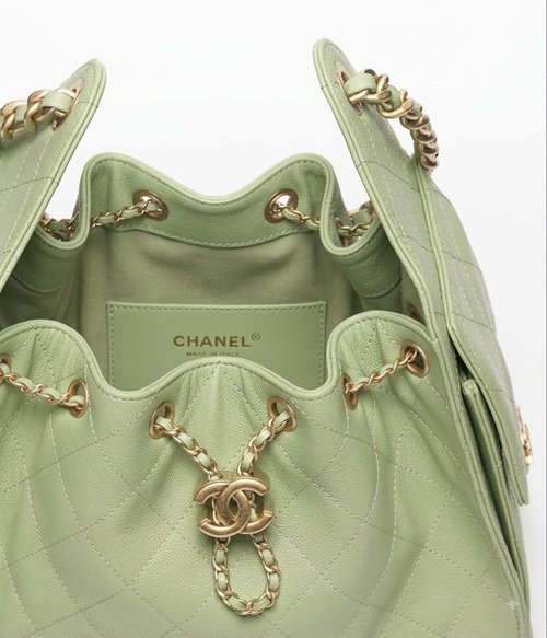 Chanel Medium 25 Hobo Bag