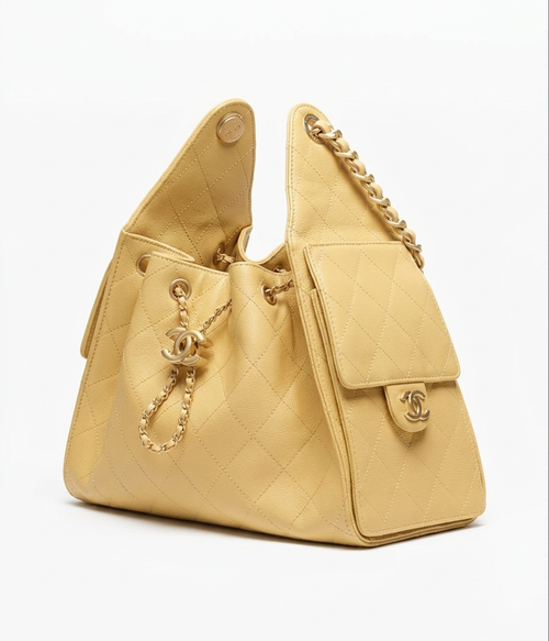 Chanel Medium 25 Hobo Bag