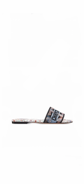 PRINTED SLIDES
