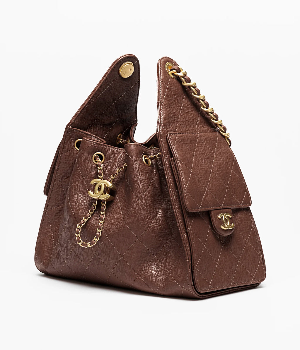 Chanel Medium 25 Hobo Bag