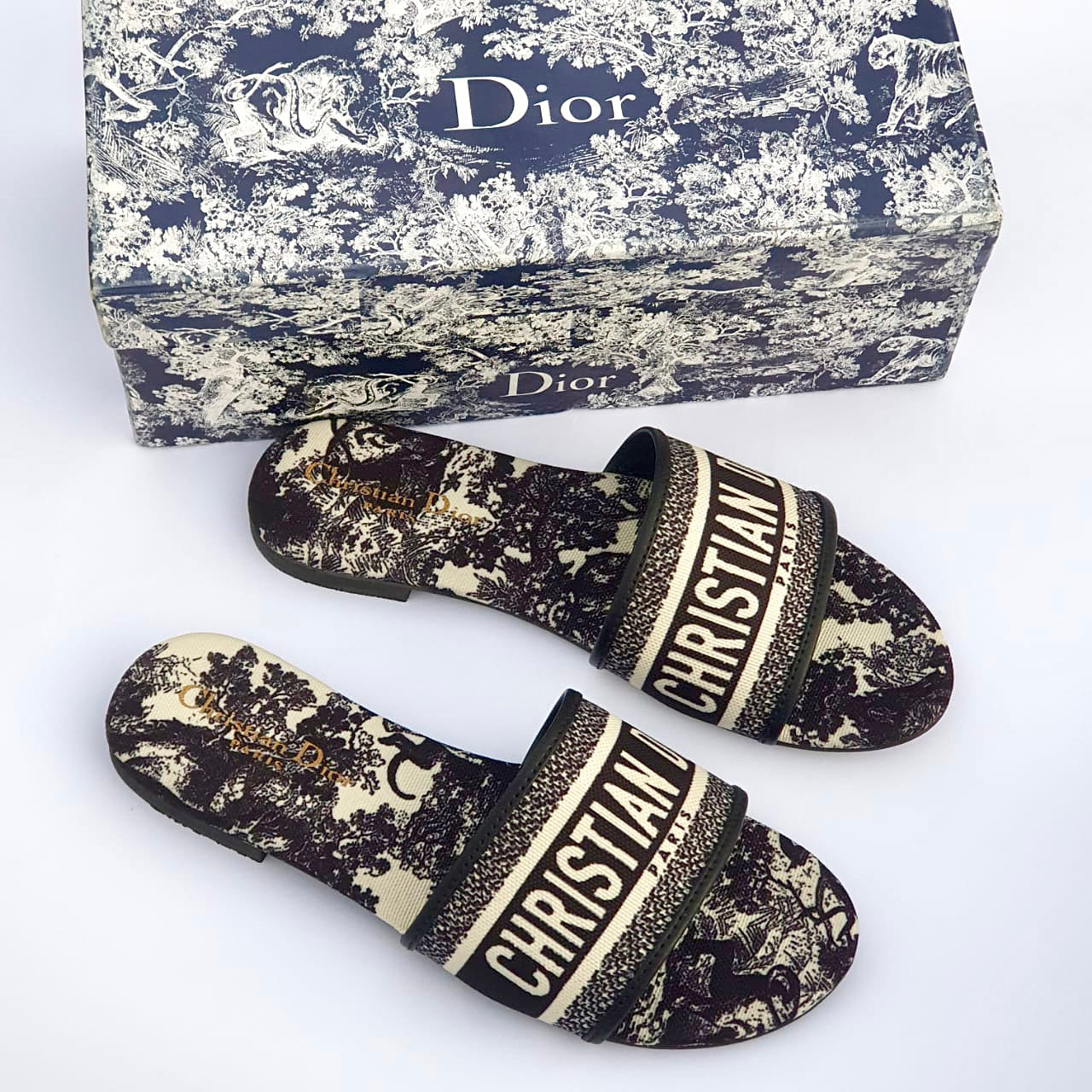 Christy-printed slides